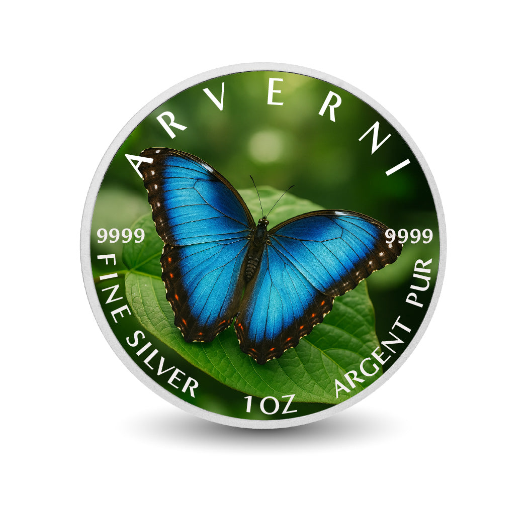 91e1e6d0612fd2c5fc9d7c6b3e3ddca8