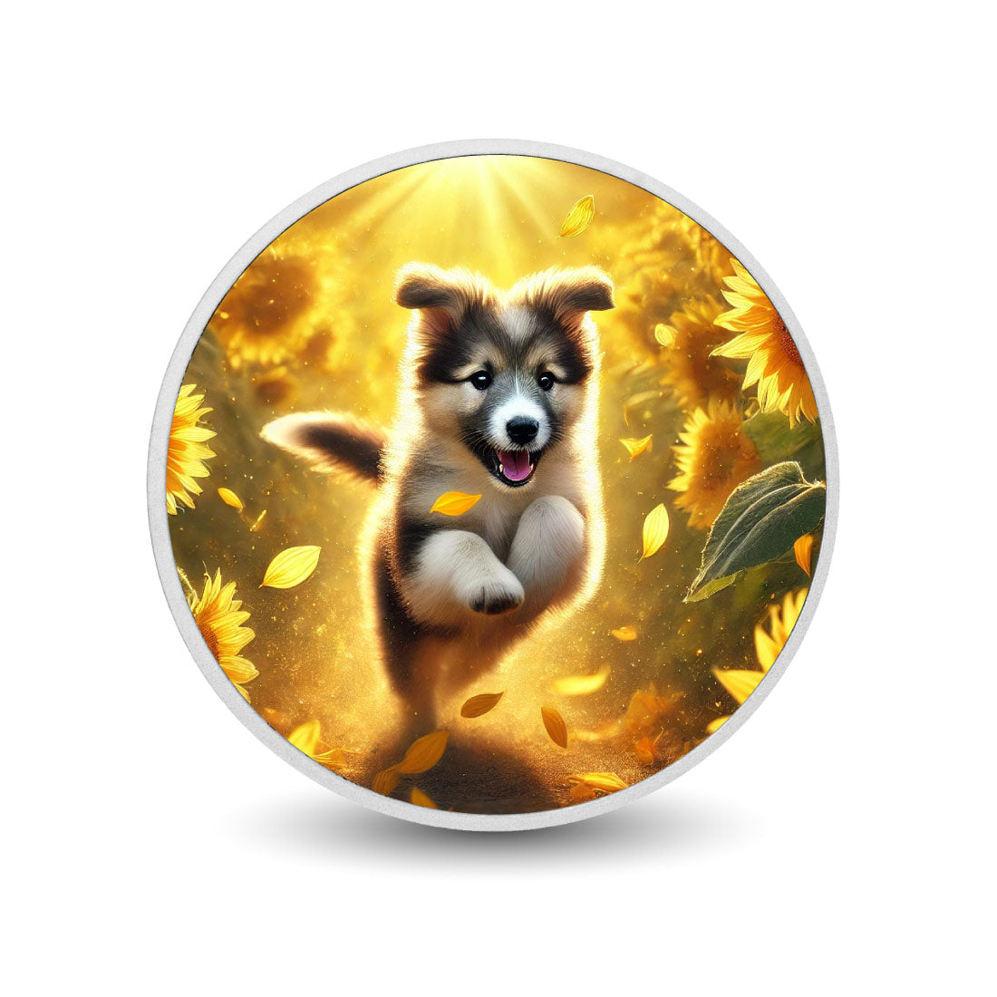 eb43da672cf5eb1e993ea9c770f19720