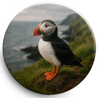 98d2c3cd38d81c203723a341ea228d55