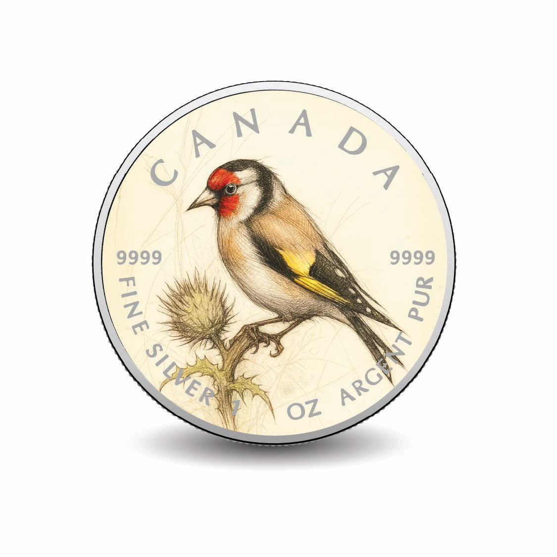 604b332017feb05666bb2f39f6048880