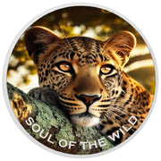 ecc93a90666bfa69cc8fe645a6e351a6