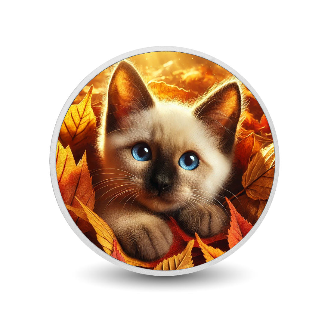 Regard automnal : le regard enchanteur de l’automne, pièce de 1 oz