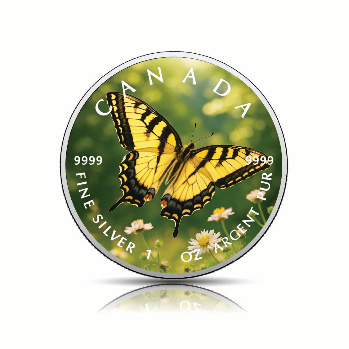 1c86b647ec06bdb8205ac1a505ea858a