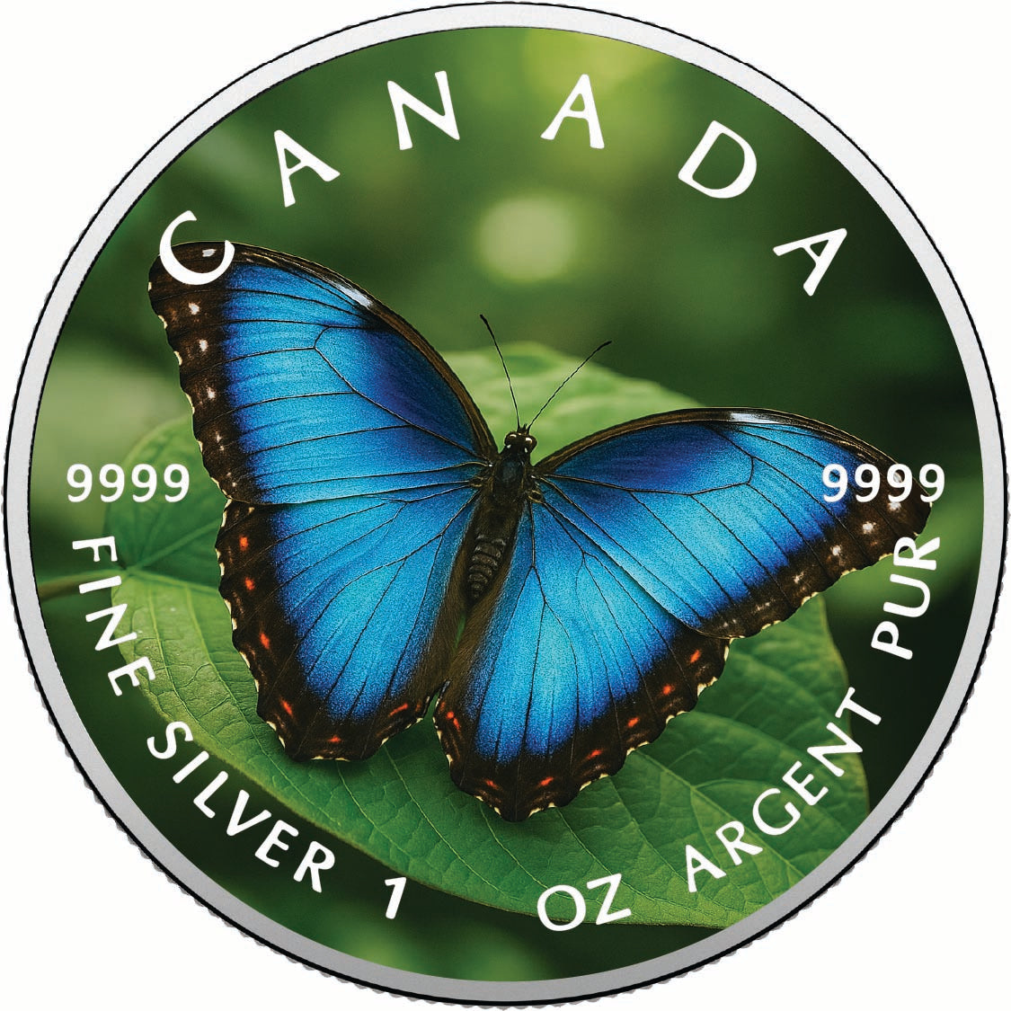 ccb602d5eb7387fead4f64bcf30c55b4