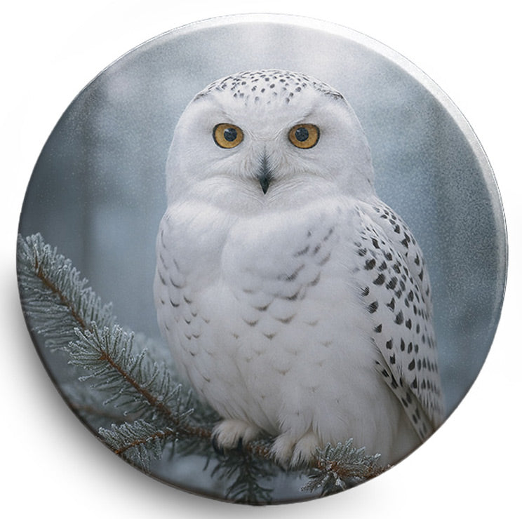 e6161f315f626f7f58209d00085127d9