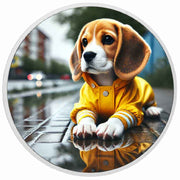 Rainy Day Explorer 1oz Silver Coloured Coin - Arverni Mint