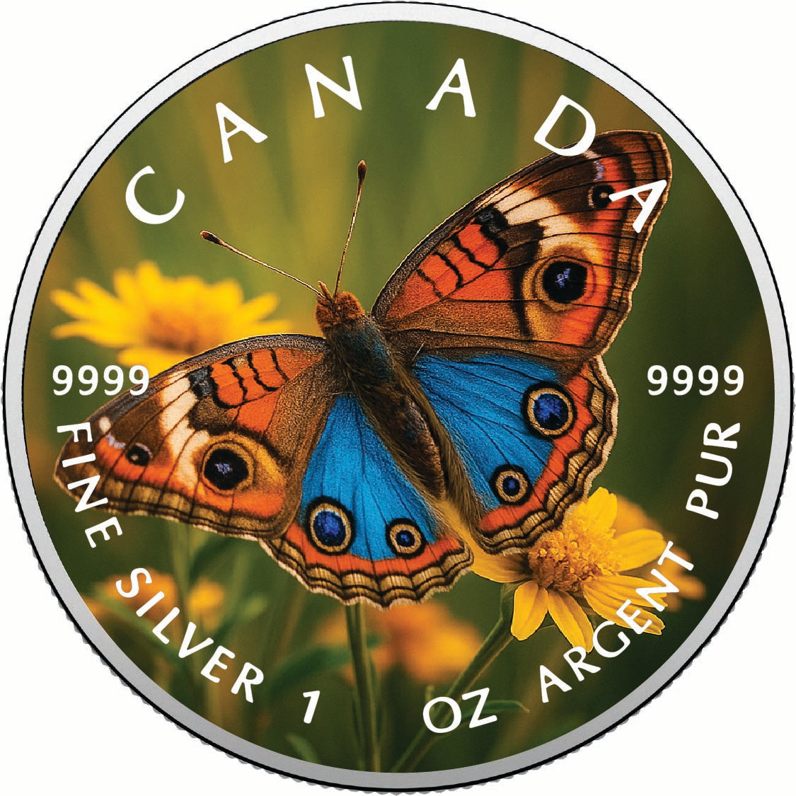 aa9332e69cdbf8763ba6357b6e9d5060