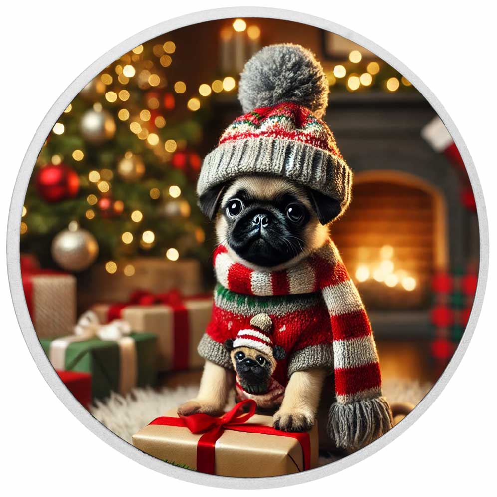 Carlin et Noël douillet 1oz Pièce colorée en argent