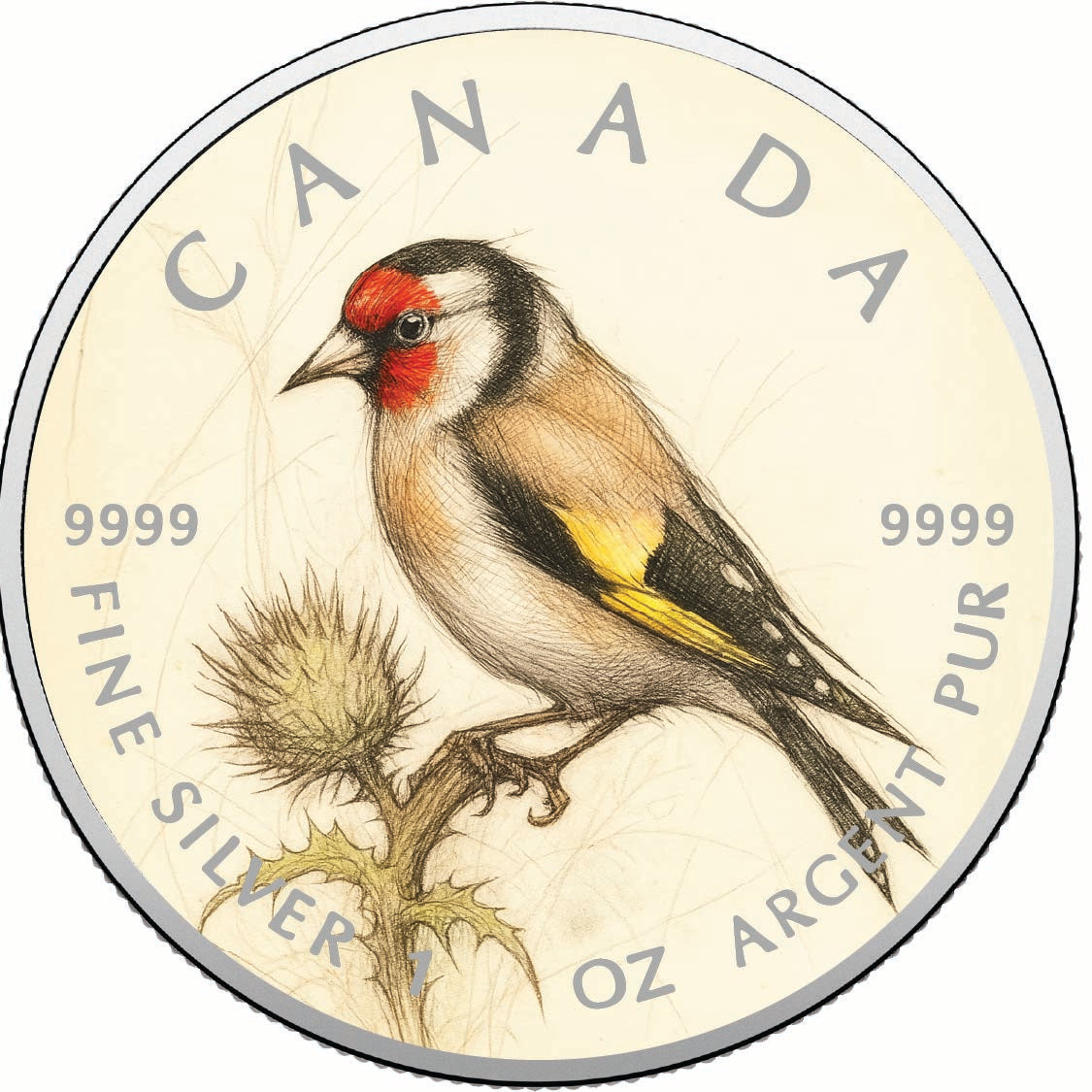 9b8eab38df4057f14c81d6d1e4d53434