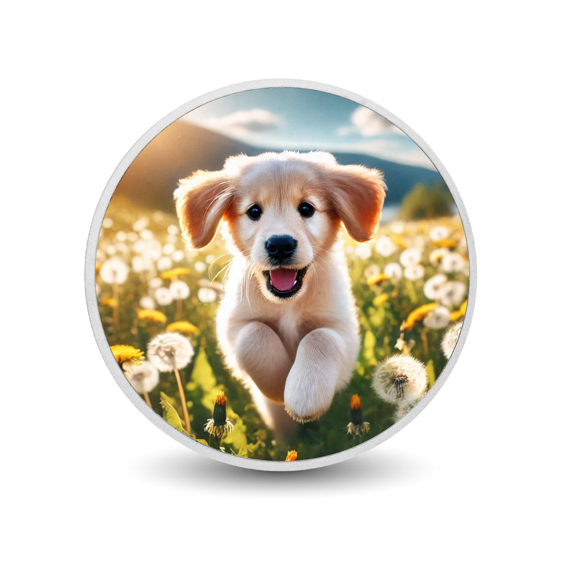 205cb11bc74c352da1a0fdb8dff391a8