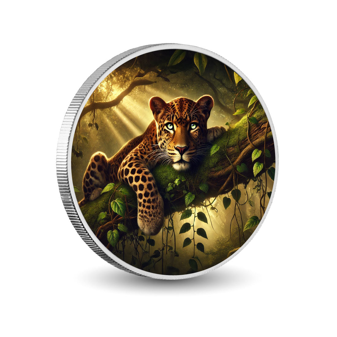 acd56f63cdfc6683e9cc4c283cf3cc07