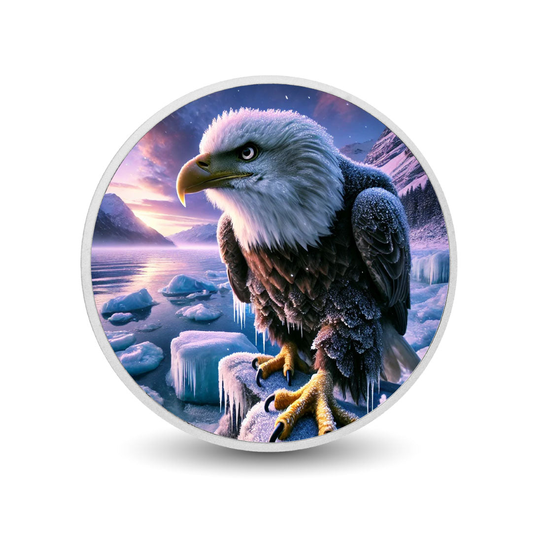 Arctic Majesty: The Frostbound Eagle Coin
