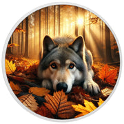 9e40c082b572c166d903678906b35394