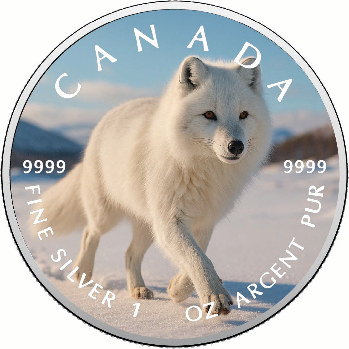 fe9653a0a7bc0b9acf92775ae2d569ed