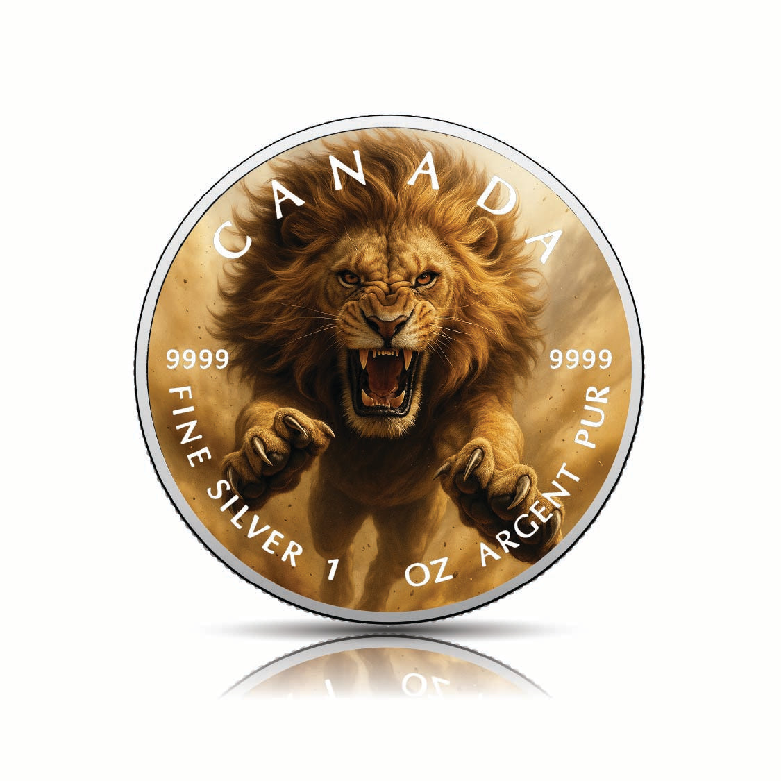 9920d9077824dea1825f31948466c9eb