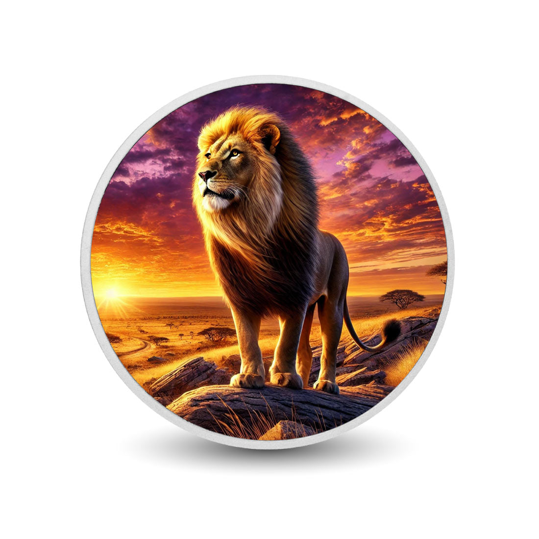 Roi de la savane au crépuscule, pièce d’argent
