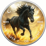 7b7bfb97c70b89342ce7426a18db3952