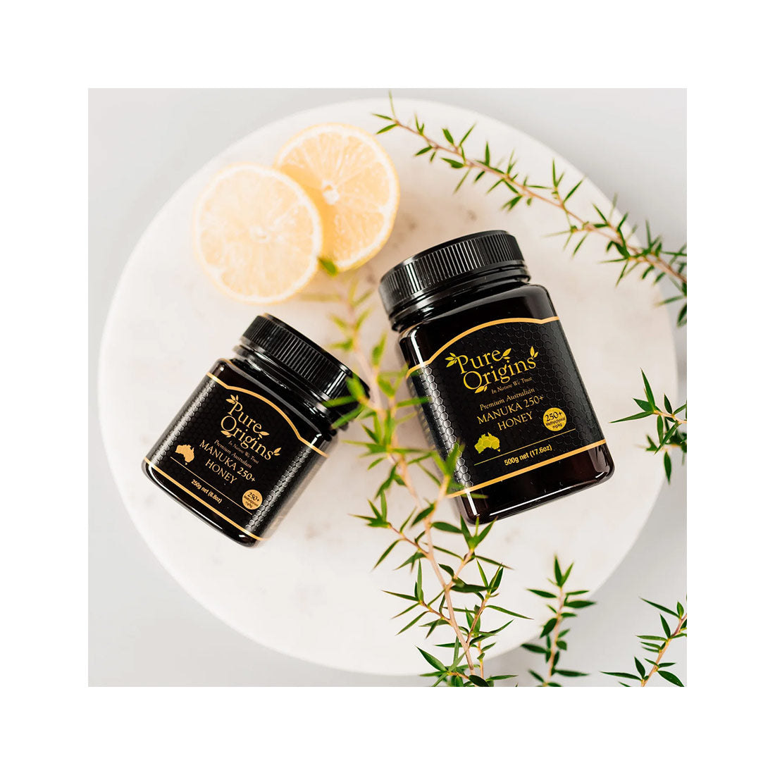 8508bef5631ffbce9e457028cd211612