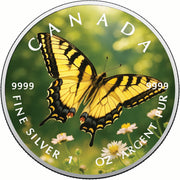 886f2fba5a96914199decad84b36497f