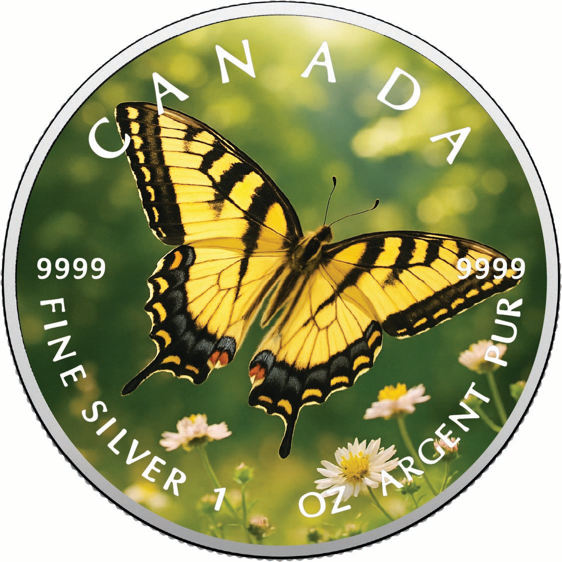 886f2fba5a96914199decad84b36497f