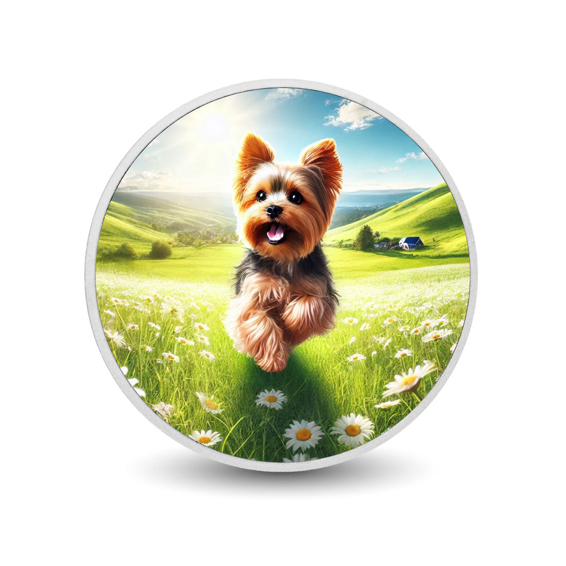 Felicità dello yorkshire terrier: danzando tra i campi di margherite Moneta da 1oz
