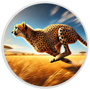 cb74070f5eedbe3cd400409ce28be10d