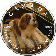 e350210119d1802e3bf2050bc31bb822