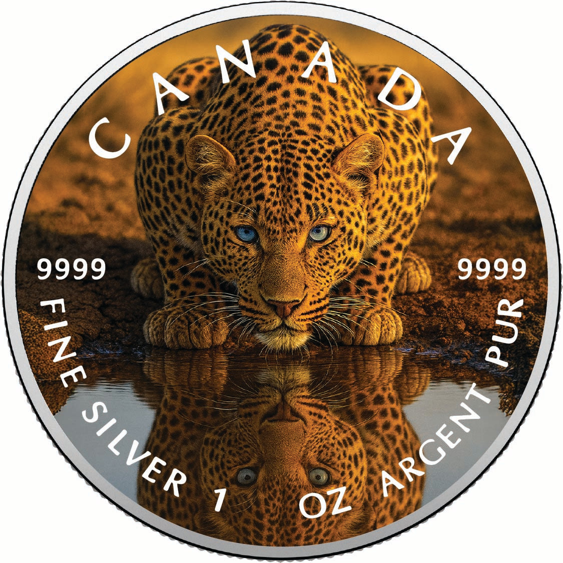 166d72d3f2fea1ad7659bf8dd56c7a59