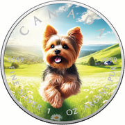 8f15f1d73c184b6da64e8f8eb2e98a00