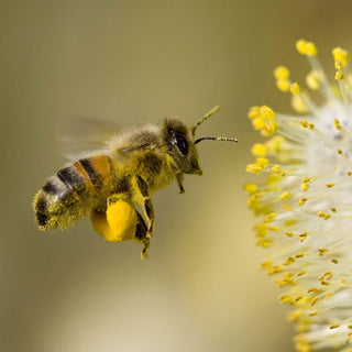 570ddf6b4f38062e0129f78bea87a69b