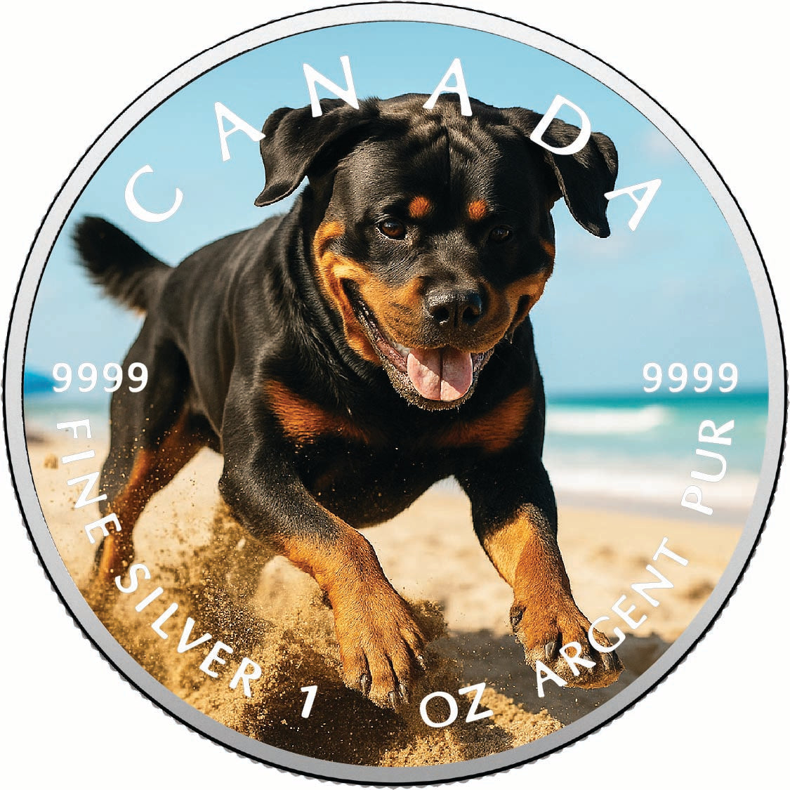 3baf5fba73e1f44da028e1f7a11c0143