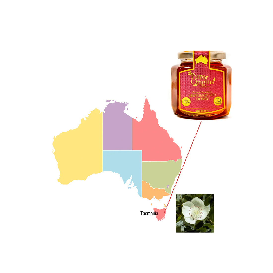 a3377d9b56135497ffbbb0bce3c7a624