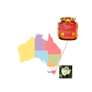 a3377d9b56135497ffbbb0bce3c7a624