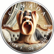 284bd61cc84b9d77c312e0aea2fb5461