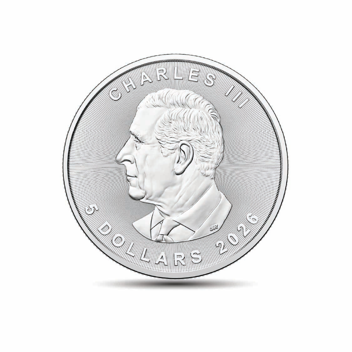 39e5c3a13426bcf63b99b6188682cb32