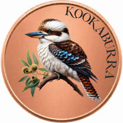 Icon of Australia: Kookaburra Copper-Plated Cupronickel Medallion
