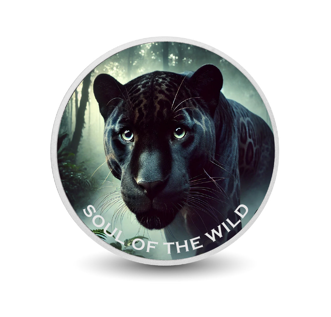 fe18329dd7ba2965e69d55f358689bfa