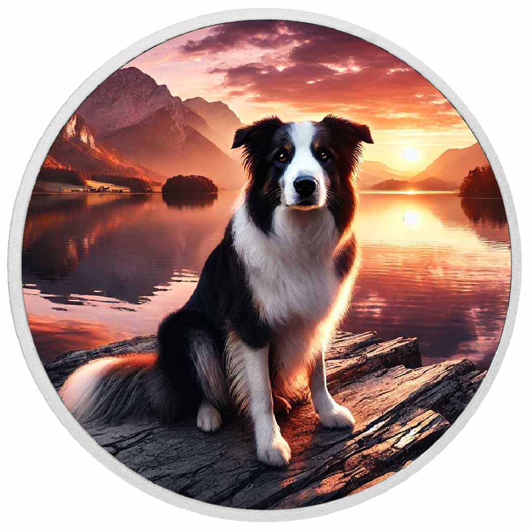 Compagnon serein : le border collie au coucher du soleil, pièce de 1oz