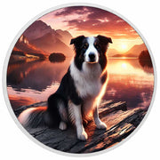 Compagnon serein : le border collie au coucher du soleil, pièce de 1oz