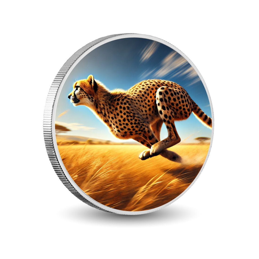 5d8cea745155e1fb0bf55cf8eaff0e12