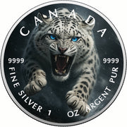 52db9923a572c418b975e96303dfacf6