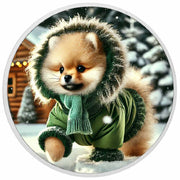 Arctic Adorable: Cozy Pup on a Snowy Stroll 1oz Coin - Arverni Mint