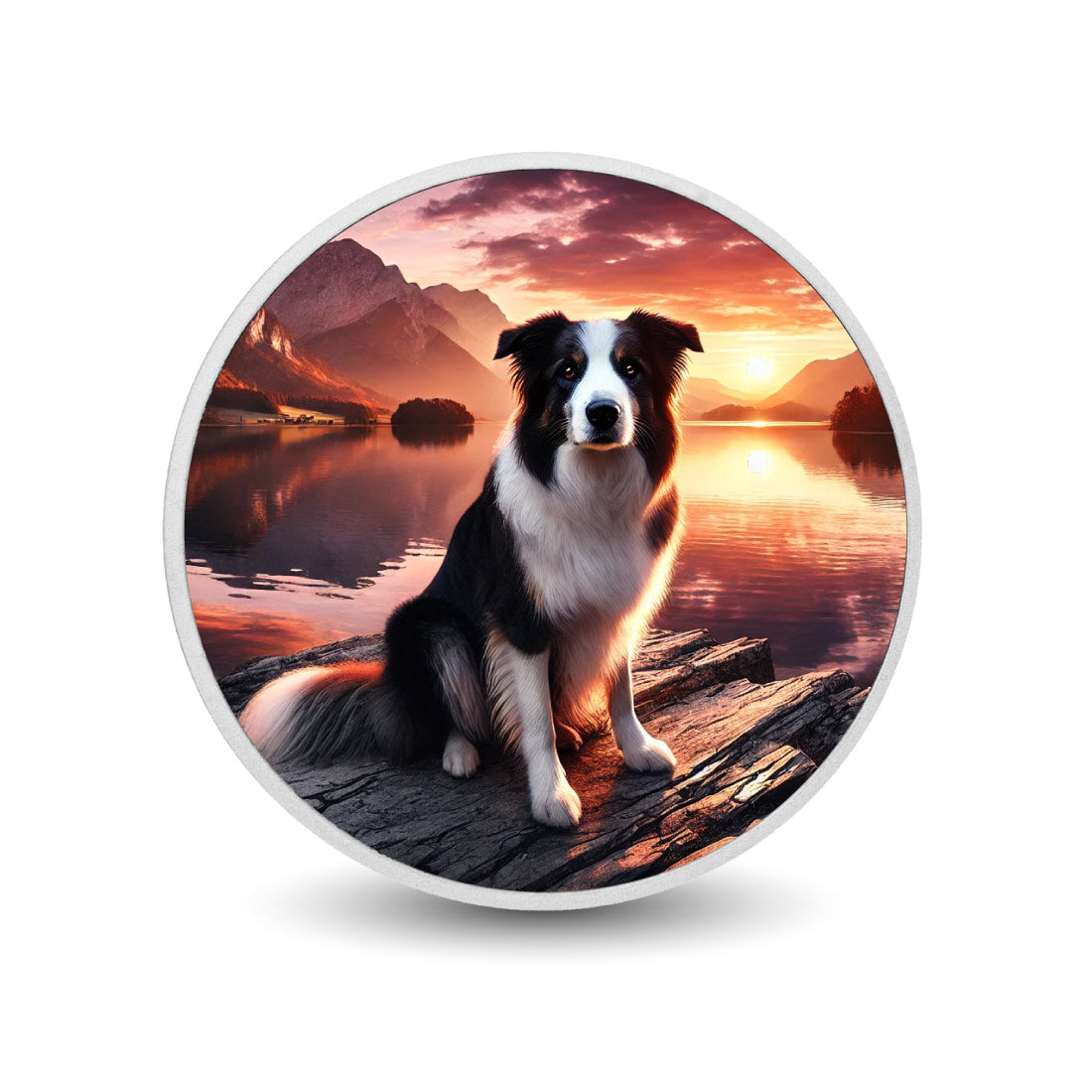 Compagnon serein : le border collie au coucher du soleil, pièce de 1oz