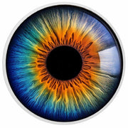 Gateway to the Soul: A Spectrum of Vision 1oz Coloured BU