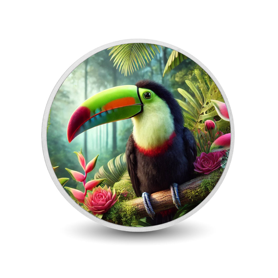 Joyau de la forêt tropicale : le toucan éclatant, pièce