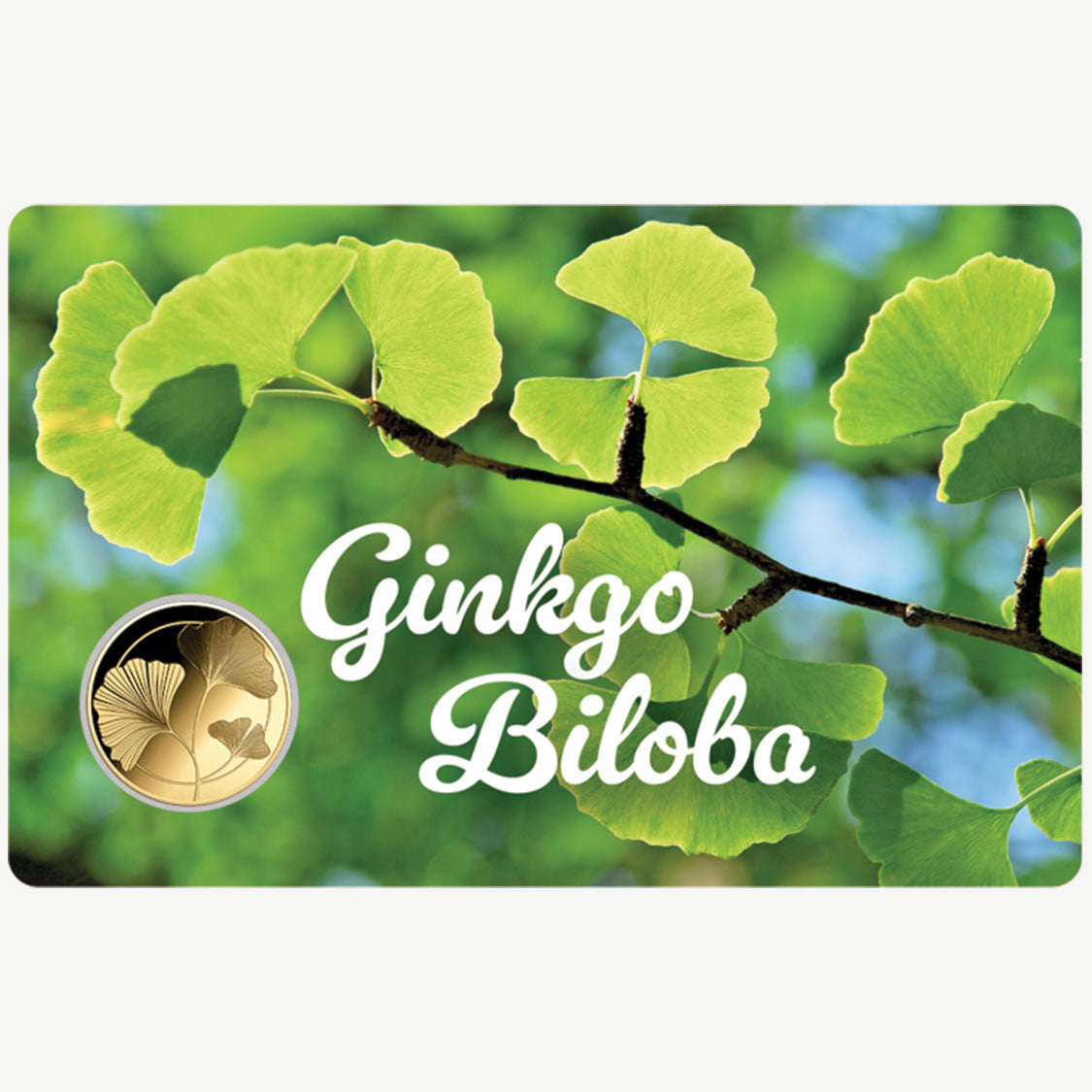 Ginkgo biloba Moneta in oro fino 999 da 1/1000 oz in confezione con cartoncino