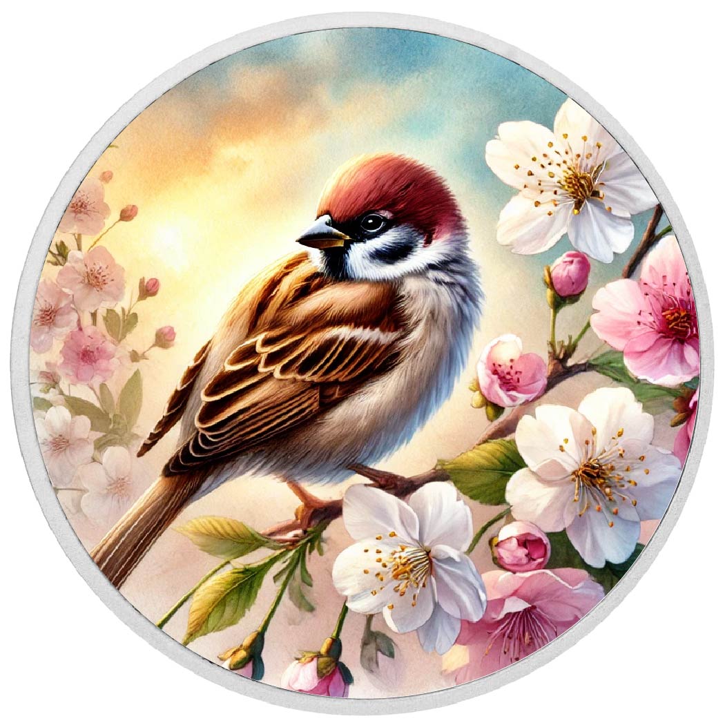 Sérénité printanière : moineau parmi les fleurs, pièce en argent de 1oz