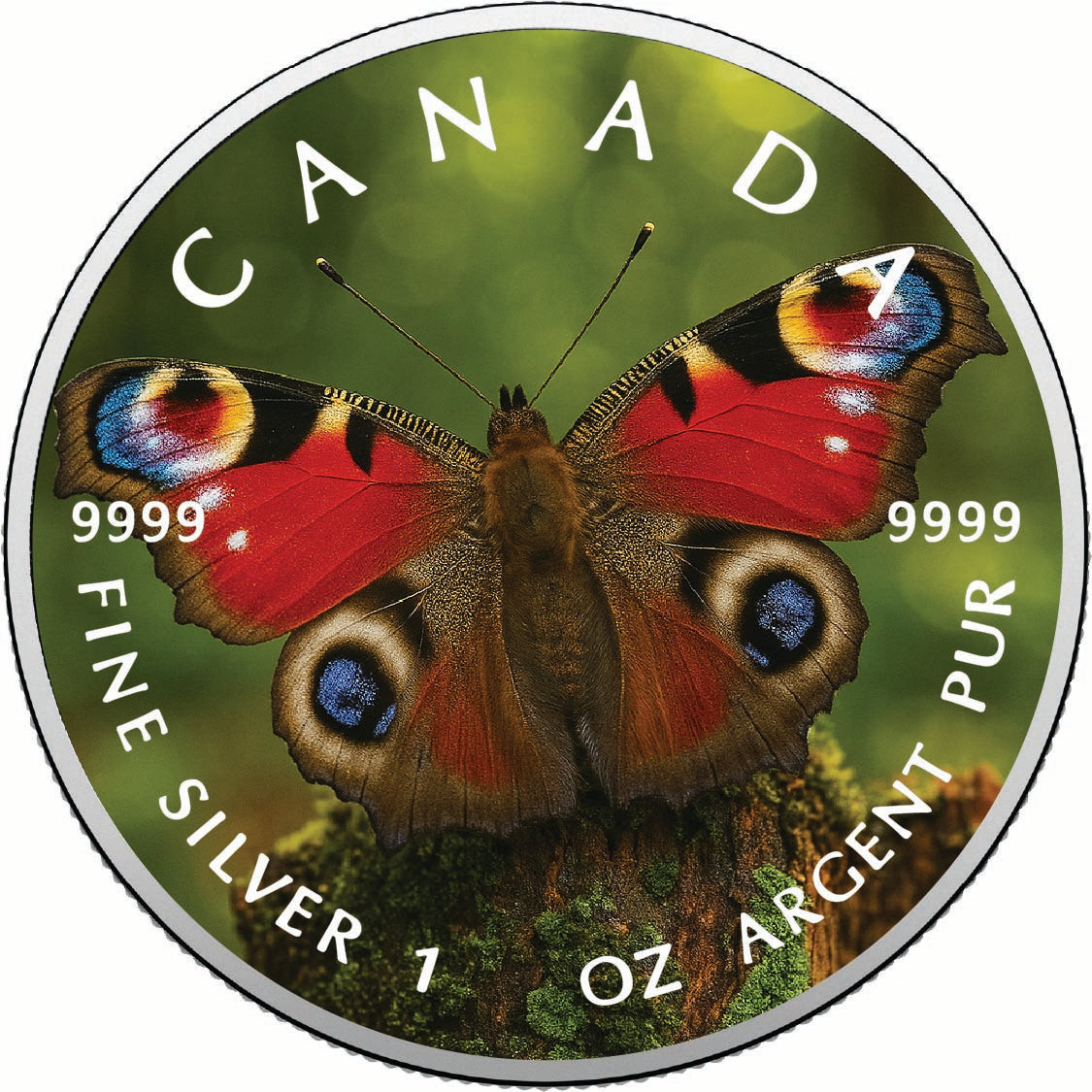 78533d00ddfaf370feb61f43fece718e