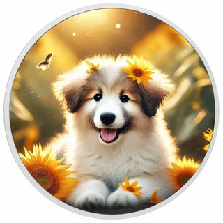 62706f67d620c5c93c36497ae677d851