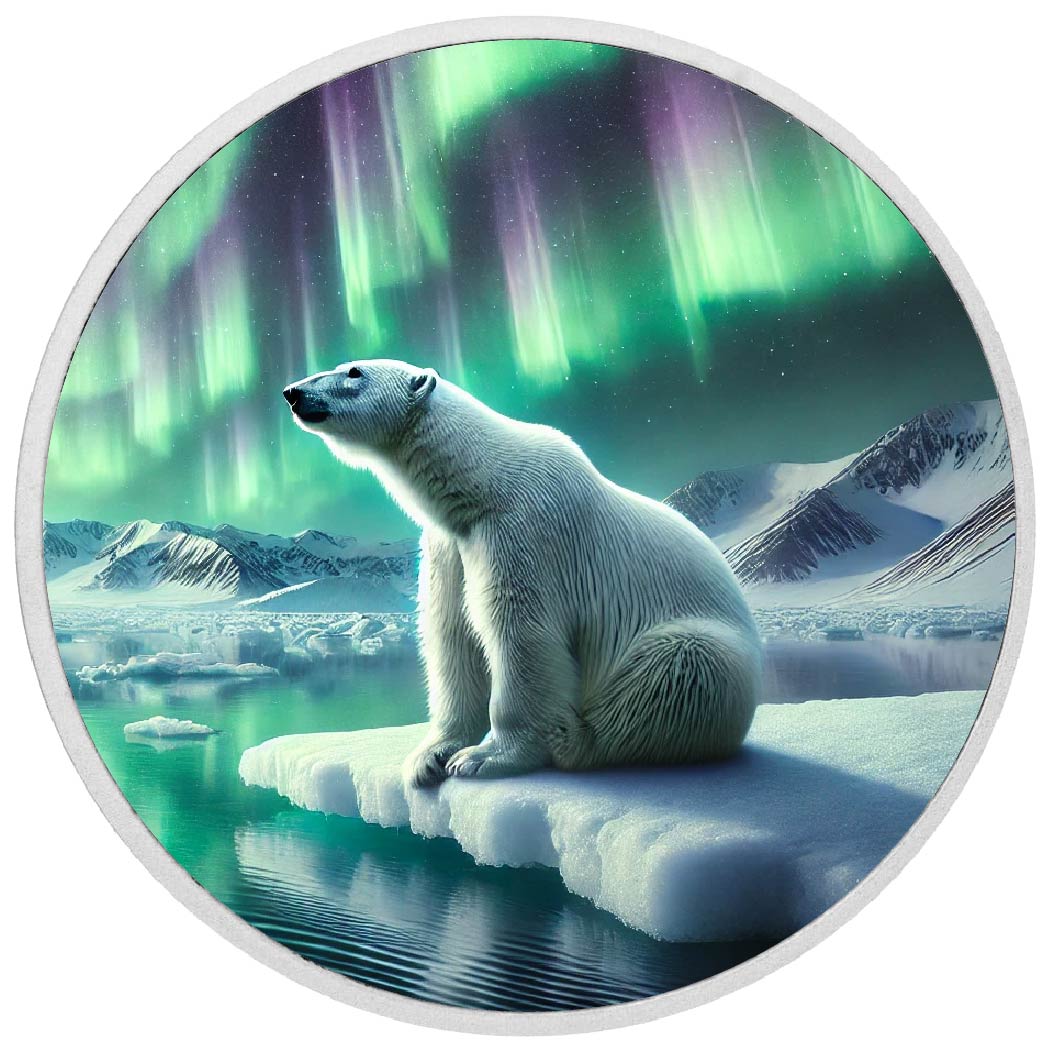 Pièce en argent Gardien des lueurs de l’Arctique
